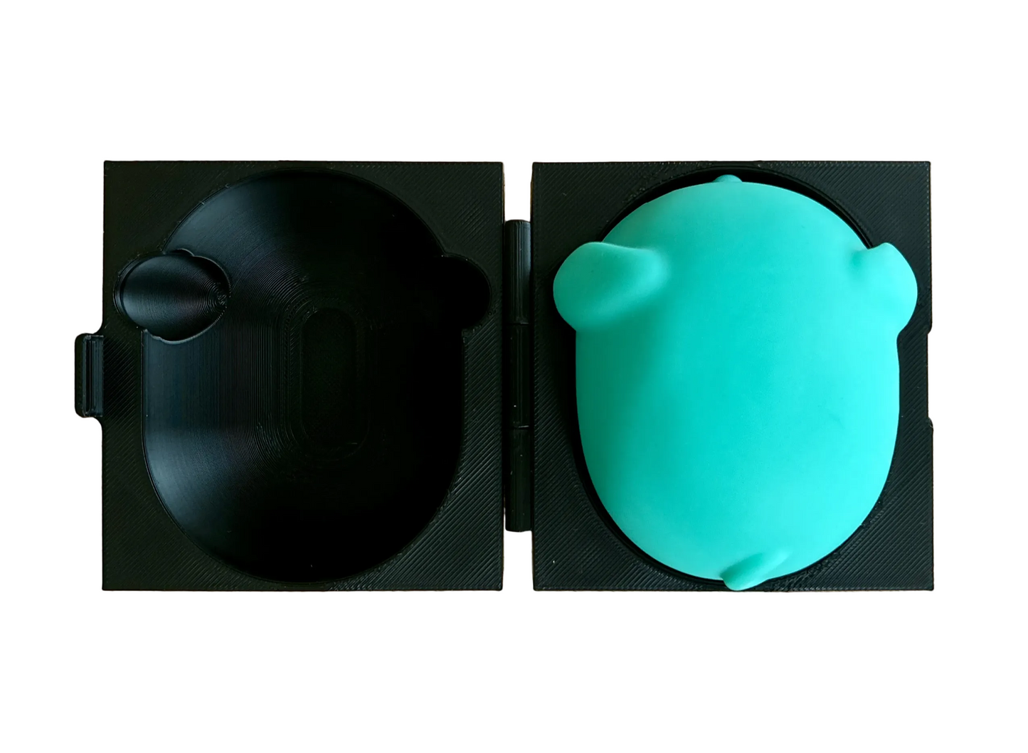 NeeDoh Funky Pup Case